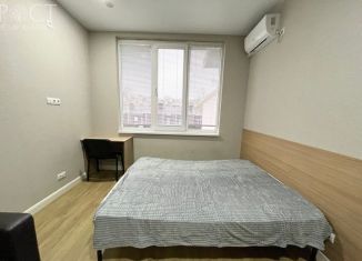 Продается однокомнатная квартира, 25.1 м2, Сочи, Клубничная улица, 62, микрорайон Новый Сочи