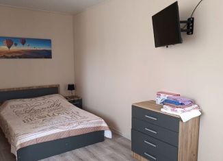 Сдам в аренду дом, 40 м2, поселок Синявино, Придорожный переулок