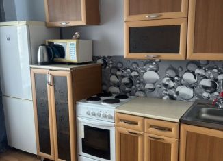 Сдача в аренду однокомнатной квартиры, 44 м2, Шелехов, 11-й квартал, 1