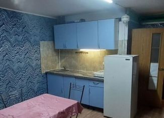 Сдается квартира студия, 33 м2, Санкт-Петербург, Ушковская улица, 5, метро Проспект Просвещения