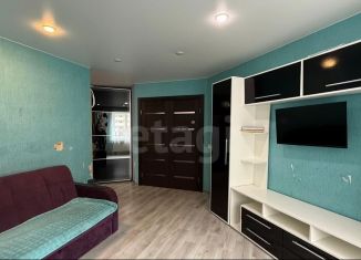 Продаю двухкомнатную квартиру, 43.5 м2, Санкт-Петербург, Красносельское шоссе, 54к4, метро Проспект Ветеранов
