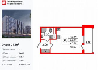 Квартира на продажу студия, 24.8 м2, Санкт-Петербург, муниципальный округ Коломяги