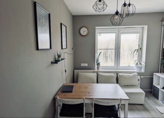 Продажа однокомнатной квартиры, 35 м2, Санкт-Петербург, Юнтоловский проспект, 53к1, метро Беговая