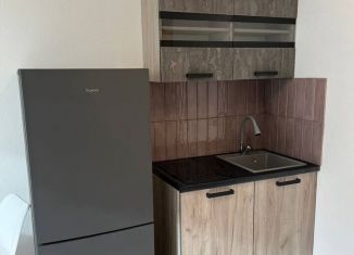 Квартира в аренду студия, 18.8 м2, Екатеринбург, Латвийская улица, 58/4, ЖК Хрустальные Ключи