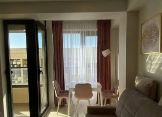 Продается 1-ком. квартира, 27 м2, Сочи, Пластунская улица, 104Б, микрорайон Заречный