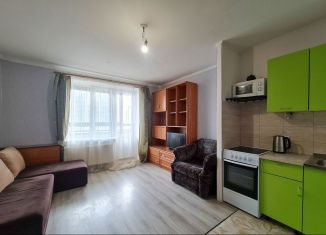 Квартира на продажу студия, 23.6 м2, Санкт-Петербург, Русановская улица, 16к1, муниципальный округ Народный