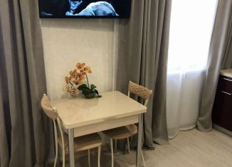 Сдам квартиру студию, 28.9 м2, Сочи, Гранатная улица, 7Ак3, микрорайон Донская