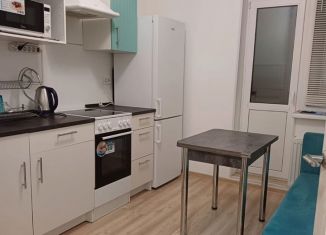 Сдаю однокомнатную квартиру, 33 м2, Мурино, улица Шувалова, 19к2, ЖК Краски Лета