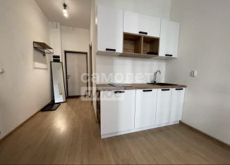 Сдам в аренду квартиру студию, 20 м2, Екатеринбург, микрорайон Светлый, 8, метро Ботаническая