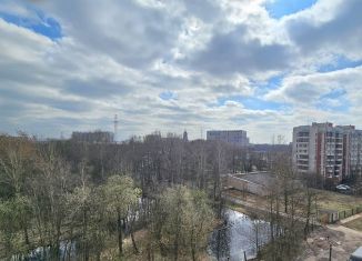 Продается однокомнатная квартира, 45 м2, Санкт-Петербург, метро Елизаровская, Народная улица, 5к2