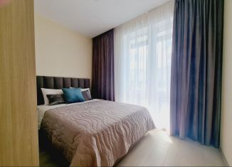 1-комнатная квартира в аренду, 34 м2, Карелия, улица Попова, 13