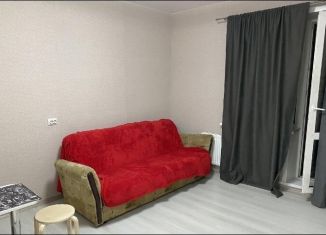 Аренда квартиры студии, 23 м2, Обь, Октябрьская улица, 5