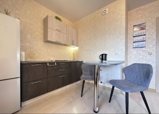Сдача в аренду квартиры студии, 25 м2, Санкт-Петербург, улица Крыленко, 1к1с8, Невский район