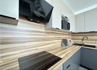 Сдается 2-ком. квартира, 51 м2, Санкт-Петербург, Пулковское шоссе, 99к4, Московский район