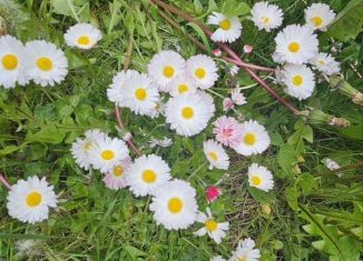 Продажа дачи, 30 м2, Калининградская область, Солнечная улица