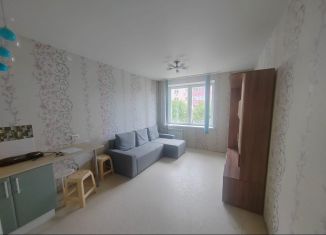 Сдача в аренду квартиры студии, 26 м2, Новосибирск, улица Надежды, 10, Ленинский район