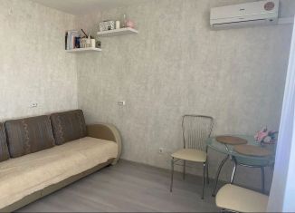 Аренда квартиры студии, 21 м2, Екатеринбург, Рощинская улица, 21к3, метро Ботаническая