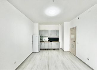 Продам 1-комнатную квартиру, 33 м2, Санкт-Петербург, улица Владимира Пчелинцева, 4, Красносельский район