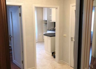Сдаю в аренду 1-комнатную квартиру, 39 м2, посёлок Шушары, Вилеровский переулок
