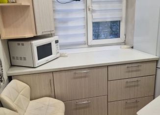 Сдам 2-комнатную квартиру, 43 м2, Санкт-Петербург, Дачный проспект, 29к2, метро Проспект Ветеранов