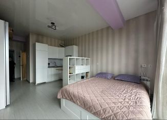 Сдам квартиру студию, 29 м2, Сочи, улица Яна Фабрициуса, 2/26А, микрорайон Яна Фабрициуса