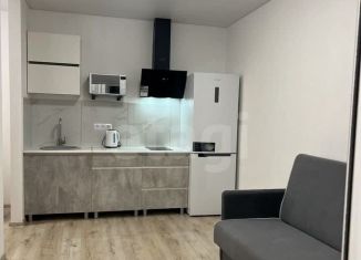 Сдаю квартиру студию, 27 м2, Тюмень, улица Василия Малкова, 12
