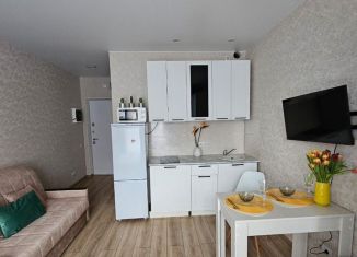 Сдается в аренду квартира студия, 21 м2, Москва, улица Корнейчука, 27, СВАО