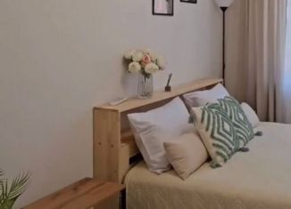 1-комнатная квартира в аренду, 45.5 м2, Краснодар, улица Кубанская Набережная, 33