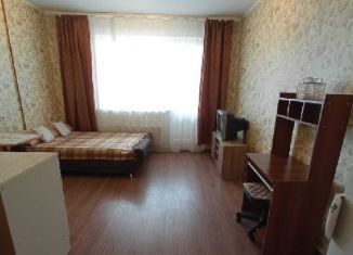 Сдается в аренду квартира студия, 30 м2, Новосибирская область, улица Романова, 60
