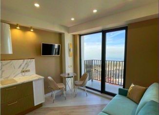 Продаю 1-ком. квартиру, 30 м2, Сочи, Курортный проспект, 96Г, микрорайон Приморье