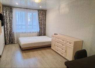Сдам в аренду 1-комнатную квартиру, 35 м2, Санкт-Петербург, Русановская улица, 16к1, метро Обухово