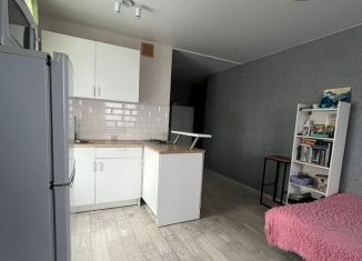 Сдаю в аренду квартиру студию, 30 м2, Тобольск, 15-й микрорайон, 42