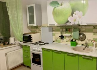 Сдам 1-ком. квартиру, 33 м2, Санкт-Петербург, Русановская улица, 16к1, метро Обухово