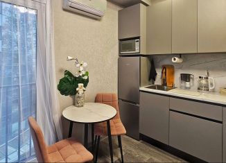 Продам квартиру студию, 20 м2, Сочи, улица Пирогова, 26Б/1, микрорайон Новый Сочи