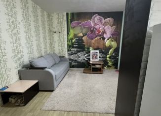 Квартира на продажу студия, 30 м2, Благовещенск, Северная улица, 93