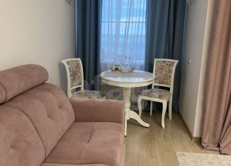 Аренда квартиры студии, 24.7 м2, Тюмень, улица Михаила Сперанского, 33/1, ЖК Видный