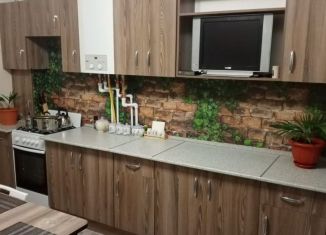 Сдам 1-ком. квартиру, 44.6 м2, деревня Куюки, 14-й квартал, 2