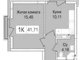 Продам 1-комнатную квартиру, 41.7 м2, Новосибирск, улица Василия Клевцова, 3