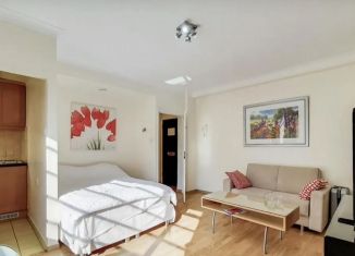 Квартира на продажу студия, 22.7 м2, Санкт-Петербург, улица Некрасова, 25, Центральный район