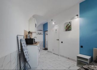 Продается квартира студия, 10 м2, Санкт-Петербург, набережная реки Фонтанки, 26В, Центральный район