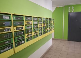 Продам 1-ком. квартиру, 28.8 м2, деревня Горки, Туровская улица, 3