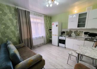 Сдаю квартиру студию, 19 м2, Новосибирск, Большая улица, 668