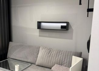 Сдам в аренду квартиру студию, 32 м2, Сочи, Дагомысская улица, 27, микрорайон Больничный Городок