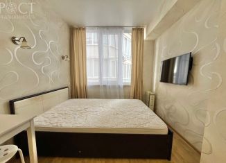 Продается квартира студия, 20.5 м2, Сочи, улица Верхняя Лысая Гора, 33, микрорайон Светлана