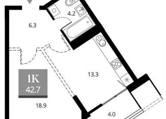 Продаю 1-комнатную квартиру, 42.7 м2, Новосибирск, Прибрежная улица, 4/2