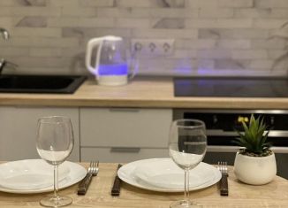 Сдам в аренду квартиру студию, 25 м2, Новосибирск, улица Немировича-Данченко, 144/1
