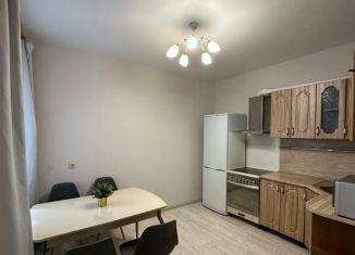 Сдаю в аренду 1-ком. квартиру, 44 м2, Екатеринбург, улица Татищева, 100, Верх-Исетский район