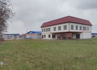 Продам помещение свободного назначения, 1066 м2, деревня 1-я Моква, Рябиновая улица, 4