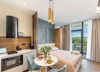 Продаю квартиру студию, 25.3 м2, Сочи, Депутатская улица, 10Б/1, ЖК Метрополь