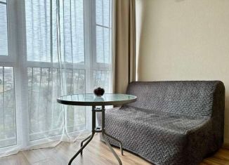 Продаю квартиру студию, 24.8 м2, Сочи, Санаторная улица, 46, микрорайон Новый Сочи